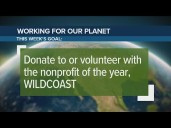 Donate or volunteer with WILDCOAST | Working for Our Planet