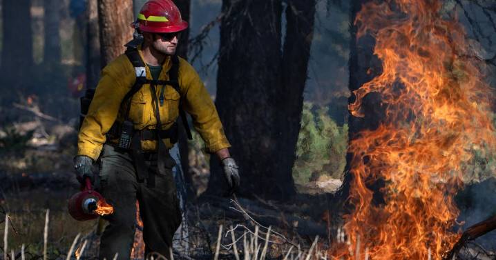 Study: Forest Service wildfire mitigation work in New Mexico and nationwide on decline