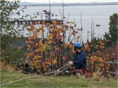 Welcoming Vista project gets a boost from the Washington Conservation Corps