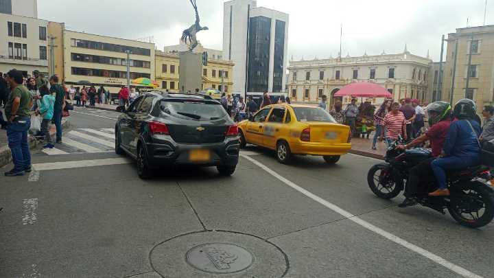 A la cárcel por matar una gatica a golpes: la dueña de la mascota lo vio