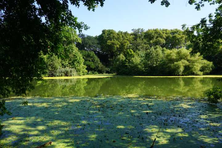 What They're Saying: live arts in Brooklyn this week, Nov. 17