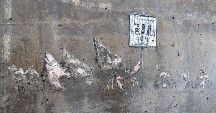 Banksy that might be worth millions soon ‘lost to sea’
