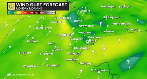 Blustery, wet conditions will sweep across Ontario, raises power outage risk