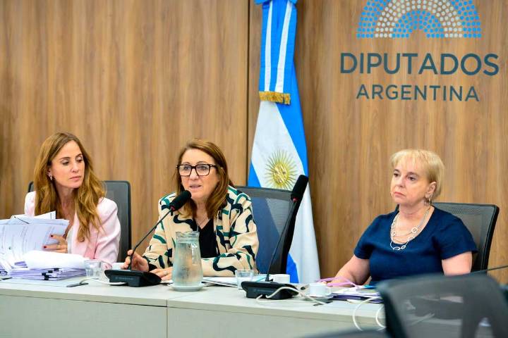 El ministro de Salud, Mario Lugones, no concurrió a la Comisión investigadora por el fentanilo adulterado