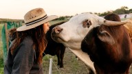 Vegan chef becomes cattle rancher in Texas after leaving California and old ways behind
