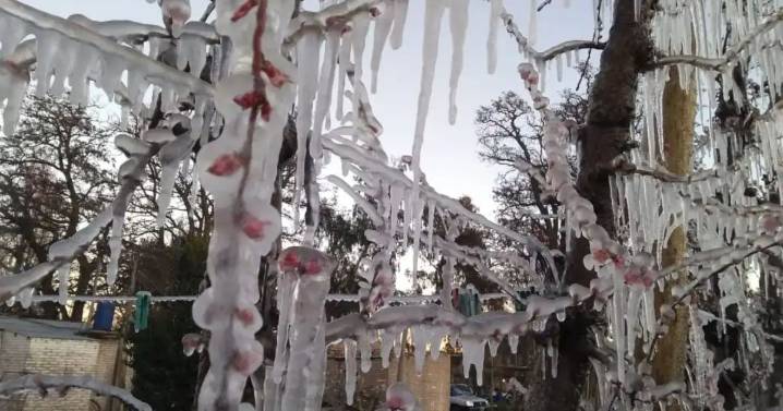 Heladas en Río Negro y Neuquén: pronóstico para la noche del viernes 31 de octubre de 2025