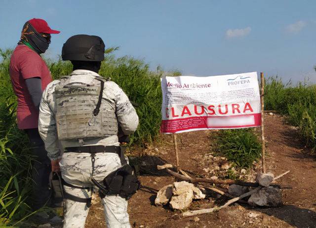 Profepa impone cuatro clausuras en Campeche por obras y cambios de uso de suelo sin autorización ambiental