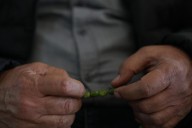 No realizar ejercicio físico: un factor de riesgo para el alzhéimer