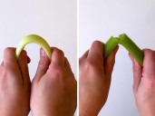 ‘Crunchy for weeks’ celery hack that works