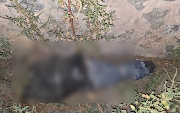 Dejan a ejecutado, sin cabeza, en Río Champotón y Yepachi