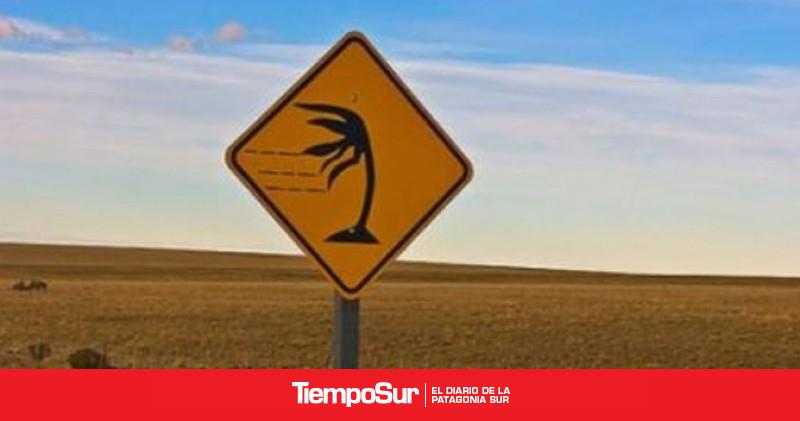 Provincia Alerta por viento fuerte en Santa Cruz: restringen la circulación en rutas
