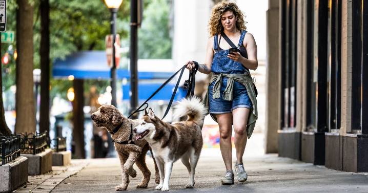 Four ways to make £300 before Christmas