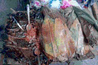 Este es el tamal grande de México que se consume en la Huasteca