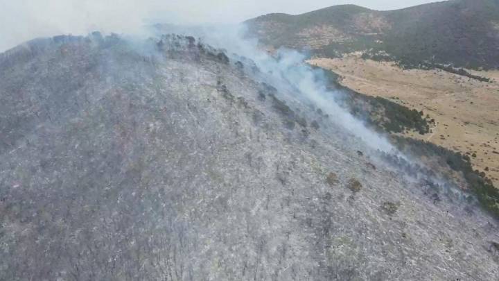 Disminuyen incendios forestales; reporta Coahuila 42 siniestros en 2025