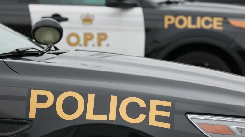 Charges laid after OPP accuse Southwold man of luring minors