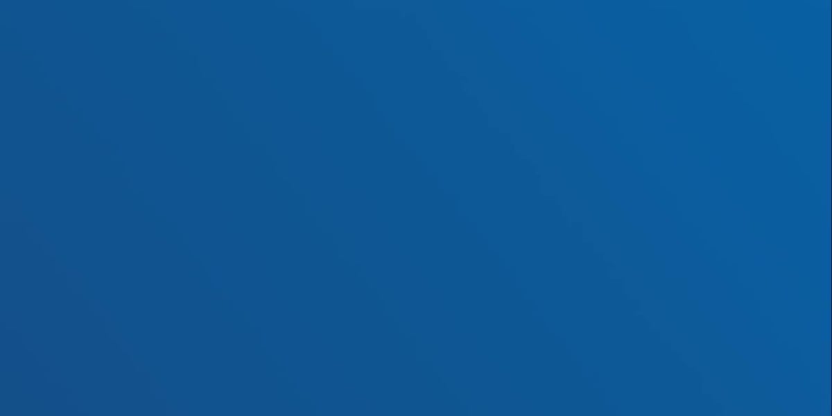 Pet of the Week: Meet Lily