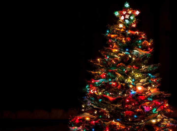 Covington Christmas Tree Lighting 2025: What You Need to Know
