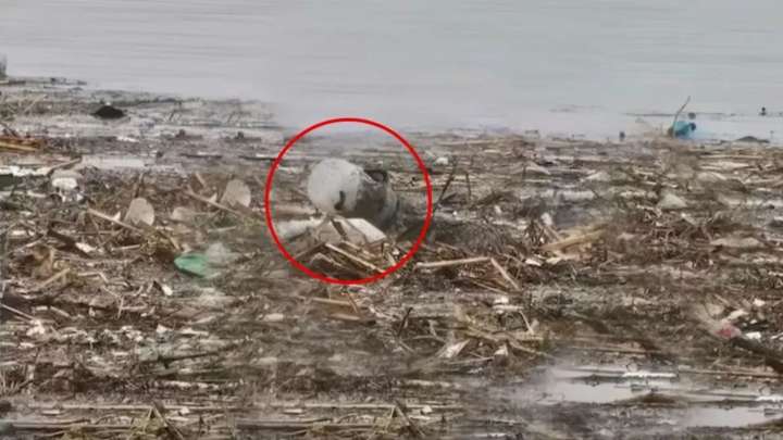 California Rescuers Race Against The Current To Save Animal Trapped In Plastic Container