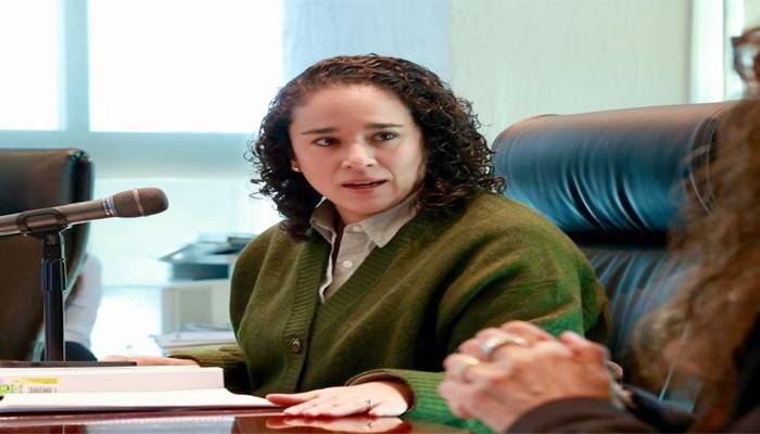 Labor editorial del IEEM, una forma de servicio público