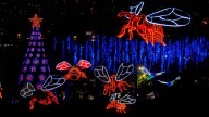 No se los pierda: estos son los cinco atractivos imperdibles de los alumbrados de Medellín, que se encienden este viernes
