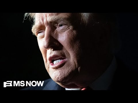 'The epitome of the swamp': Ex-Trump staffer describes hypocritical stance on Epstein files