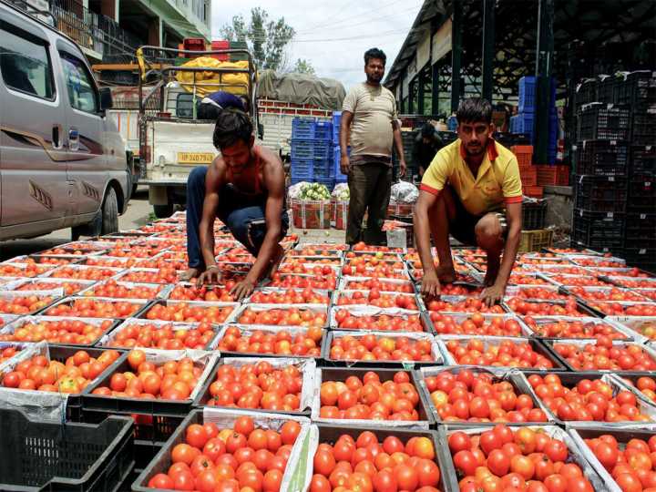 Above-normal monsoon rains to cool food prices in H2FY26: Report