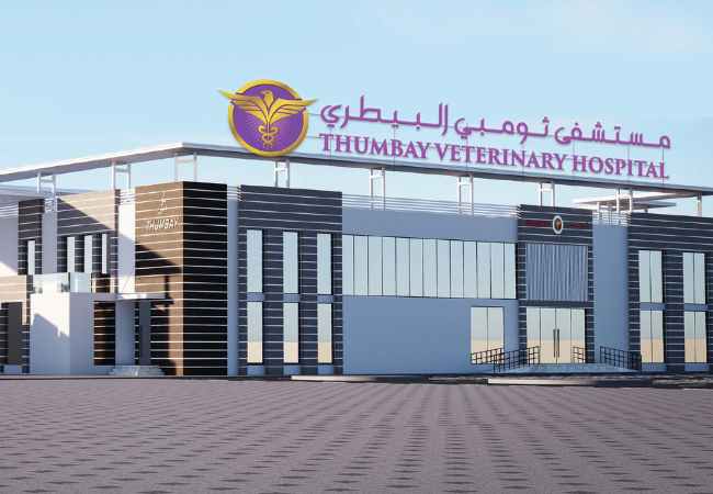 GMU’s Doctor of Veterinary Medicine Program receives CAA initial...