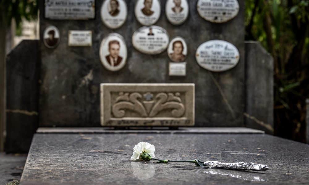 Flores y el ‘Arbol del recuerdo’ para volver a evocar a los que no se olvidan