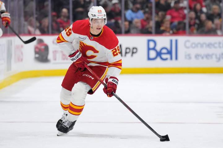 Flames' Samuel Honzek out for up to six months after surgery