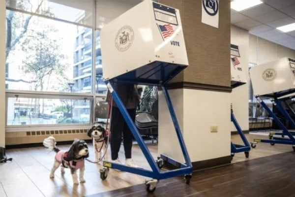 ¿Qué se vota durante las elecciones estatales en EU?