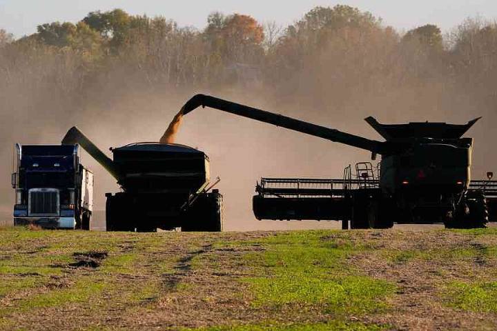 China soybean orders stall despite US truce