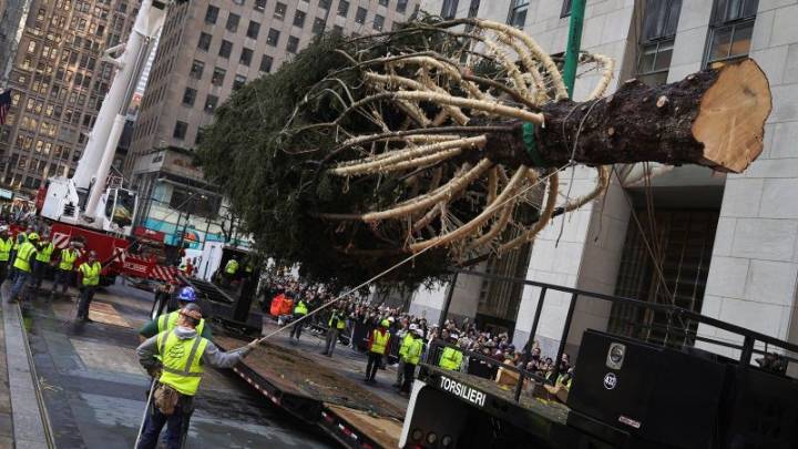 Llega a Manhattan el árbol de Navidad del Rockefeller Center y da inicio a la temporada navideña en Nueva York