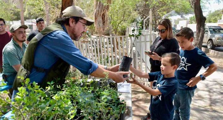 ¿Tienes jardín o te gustan las plantas? Realizarán taller ‘Crece tu árbol’ en Hermosillo