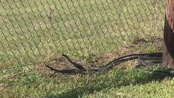 OFA Little League field in SE Houston left with no lights after thieves stole wires