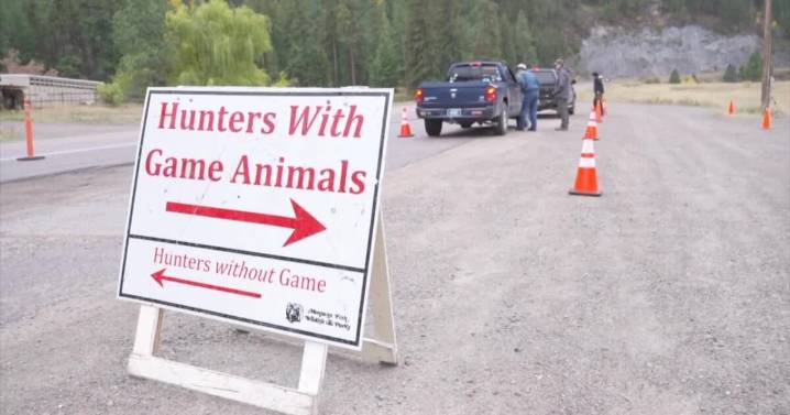 A look at Montana's non-resident hunter numbers