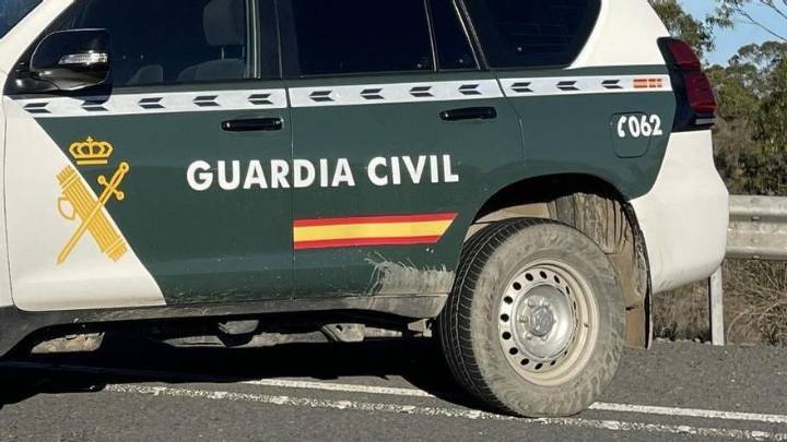 Investigan a un hombre por tener a 14 perros enfermos y desnutridos en una perrera particular de Huesca