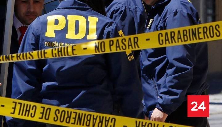 Tras caída de árbol: muere trabajador durante faena forestal en Los Ríos