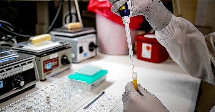 New Mexico Wellness Wire: Syphilis stats