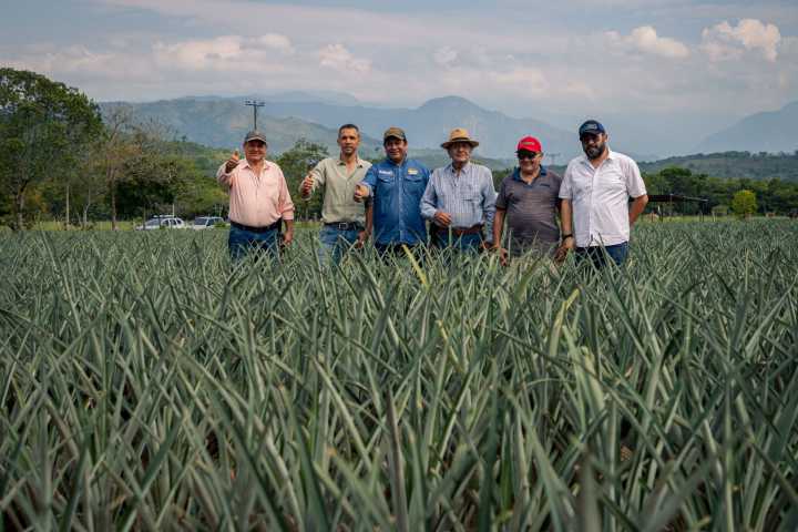 Gobernación de Casanare fortalece los procesos productivos en Tauramena