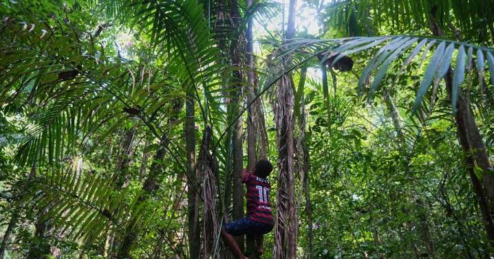 Comunidades de descendientes de esclavos en Brasil exigen reconocimiento de sus territorios