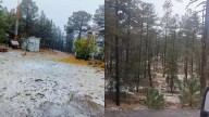 Confirman Caída de Nieve en Balleza y Madera; Viene la Primera Tormenta Invernal a Chihuahua