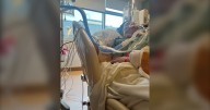 Woman shares story of near-death experience in Winnipeg hospital ER
