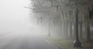 Dense fog hits south Louisiana in the morning, super fog possible in some areas