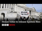 US House votes overwhelmingly to make justice department release Epstein files