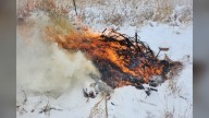 Jefferson County to conduct prescribed burns in certain parks during fall, winter