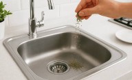 Por qué tirar orégano en el desagüe es un sí definitivo: los beneficios