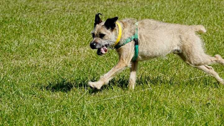 Brevard County weather forecast for November 3