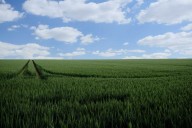 La Eurocámara y los 27 acuerdan simplificar condiciones para acceder a las ayudas de la PAC