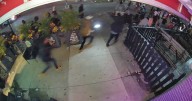Video shows moment crowds scatter as gunshots fire near UC campus during Halloween weekend