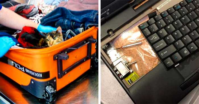 TSA Instagram Account Posts The Strangest Things They Confiscate (25 Pics)
